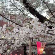 ヒメ日記 2025/04/12 14:41 投稿 かなめ 新宿ハンドメイド