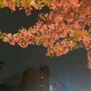 ヒメ日記 2025/03/28 11:58 投稿 冴木(さえき) 人妻出逢い会 百合の園 山の手本店