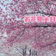 ヒメ日記 2025/04/01 18:48 投稿 冴木(さえき) 人妻出逢い会 百合の園 山の手本店