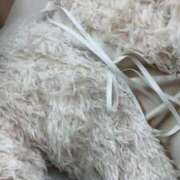 ヒメ日記 2025/05/30 13:57 投稿 冴木(さえき) 人妻出逢い会 百合の園 山の手本店