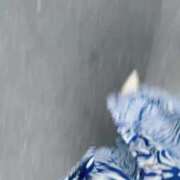 ヒメ日記 2025/08/28 17:37 投稿 冴木(さえき) 人妻出逢い会 百合の園 山の手本店