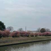 ヒメ日記 2025/03/29 21:00 投稿 坂野はるよ 五十路マダム愛されたい熟女たち 津山店