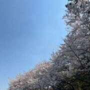 ヒメ日記 2025/04/11 08:10 投稿 坂野はるよ 五十路マダム愛されたい熟女たち 津山店