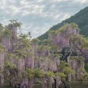 ヒメ日記 2025/05/05 11:18 投稿 坂野はるよ 五十路マダム愛されたい熟女たち 津山店