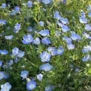 ヒメ日記 2025/05/06 14:28 投稿 坂野はるよ 五十路マダム愛されたい熟女たち 津山店