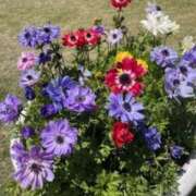 ヒメ日記 2025/06/13 23:30 投稿 坂野はるよ 五十路マダム愛されたい熟女たち 津山店