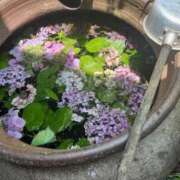 ヒメ日記 2025/07/11 12:28 投稿 坂野はるよ 五十路マダム愛されたい熟女たち 津山店