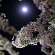 ヒメ日記 2025/09/14 22:22 投稿 坂野はるよ 五十路マダム愛されたい熟女たち 津山店