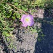 ヒメ日記 2025/09/20 21:08 投稿 坂野はるよ 五十路マダム愛されたい熟女たち 津山店