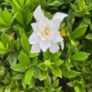 ヒメ日記 2025/10/18 20:56 投稿 坂野はるよ 五十路マダム愛されたい熟女たち 津山店