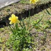 ヒメ日記 2025/11/06 13:32 投稿 坂野はるよ 五十路マダム愛されたい熟女たち 津山店