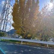 ヒメ日記 2025/11/17 13:24 投稿 坂野はるよ 五十路マダム愛されたい熟女たち 津山店