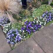 ヒメ日記 2026/02/12 08:32 投稿 坂野はるよ 五十路マダム愛されたい熟女たち 津山店