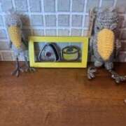 ヒメ日記 2026/02/23 15:06 投稿 坂野はるよ 五十路マダム愛されたい熟女たち 津山店