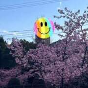 ヒメ日記 2026/03/05 07:48 投稿 坂野はるよ 五十路マダム愛されたい熟女たち 津山店