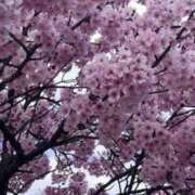 ヒメ日記 2026/03/10 14:50 投稿 坂野はるよ 五十路マダム愛されたい熟女たち 津山店