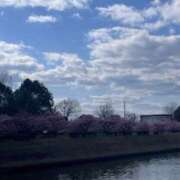 ヒメ日記 2026/03/13 10:14 投稿 坂野はるよ 五十路マダム愛されたい熟女たち 津山店