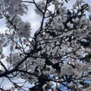 ヒメ日記 2026/04/11 22:56 投稿 坂野はるよ 五十路マダム愛されたい熟女たち 津山店