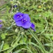 ヒメ日記 2026/05/19 08:50 投稿 坂野はるよ 五十路マダム愛されたい熟女たち 津山店