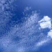 ヒメ日記 2026/08/26 13:52 投稿 坂野はるよ 五十路マダム愛されたい熟女たち 津山店