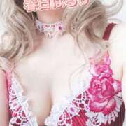 ヒメ日記 2024/12/25 11:22 投稿 春日　はるひ ソープランド蜜 人妻・美熟女専門店