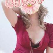 ヒメ日記 2025/03/19 01:14 投稿 春日　はるひ ソープランド蜜 人妻・美熟女専門店