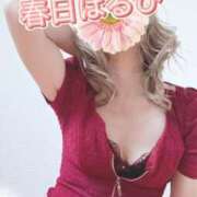 ヒメ日記 2025/05/05 17:22 投稿 春日　はるひ ソープランド蜜 人妻・美熟女専門店