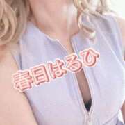 ヒメ日記 2025/05/27 17:50 投稿 春日　はるひ ソープランド蜜 人妻・美熟女専門店