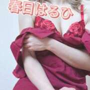 ヒメ日記 2025/08/13 20:33 投稿 春日　はるひ ソープランド蜜 人妻・美熟女専門店