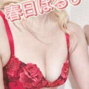 ヒメ日記 2025/12/30 13:02 投稿 春日　はるひ ソープランド蜜 人妻・美熟女専門店