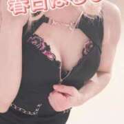 ヒメ日記 2026/02/12 19:52 投稿 春日　はるひ ソープランド蜜 人妻・美熟女専門店