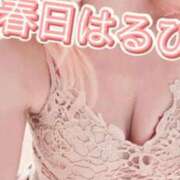 ヒメ日記 2026/02/14 19:25 投稿 春日　はるひ ソープランド蜜 人妻・美熟女専門店