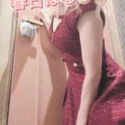 ヒメ日記 2026/02/16 20:02 投稿 春日　はるひ ソープランド蜜 人妻・美熟女専門店