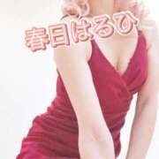 ヒメ日記 2026/02/22 12:25 投稿 春日　はるひ ソープランド蜜 人妻・美熟女専門店