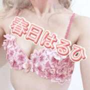 ヒメ日記 2026/03/12 20:22 投稿 春日　はるひ ソープランド蜜 人妻・美熟女専門店