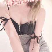 春日　はるひ 4日お礼⭐︎ネコちゃんダーリン ソープランド蜜 人妻・美熟女専門店