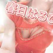 ヒメ日記 2026/07/11 12:31 投稿 春日　はるひ ソープランド蜜 人妻・美熟女専門店