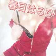 ヒメ日記 2026/08/20 13:32 投稿 春日　はるひ ソープランド蜜 人妻・美熟女専門店