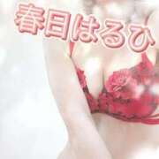 ヒメ日記 2026/09/01 20:42 投稿 春日　はるひ ソープランド蜜 人妻・美熟女専門店