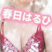 ヒメ日記 2026/10/03 12:22 投稿 春日　はるひ ソープランド蜜 人妻・美熟女専門店