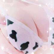 ヒメ日記 2025/09/12 09:32 投稿 ゆな 妻天 京橋店