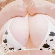 ヒメ日記 2025/12/12 17:58 投稿 ゆな 妻天 京橋店