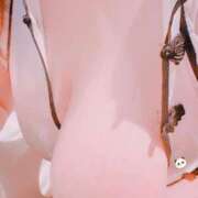 ヒメ日記 2025/12/26 13:04 投稿 ゆな 妻天 京橋店