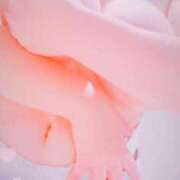 ヒメ日記 2026/01/04 16:38 投稿 ゆな 妻天 京橋店