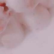 ヒメ日記 2026/01/11 12:09 投稿 ゆな 妻天 京橋店