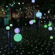 ヒメ日記 2024/12/19 23:26 投稿 かれん 若妻淫乱倶楽部　越谷店