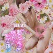 ヒメ日記 2025/05/04 19:30 投稿 麻衣(まい) 伊勢崎回春性感SPA