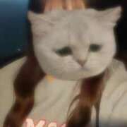 ヒメ日記 2024/12/13 15:16 投稿 らむ 兵庫姫路・加古川ちゃんこ