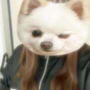 ヒメ日記 2025/01/03 16:24 投稿 らむ 兵庫姫路・加古川ちゃんこ