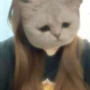 ヒメ日記 2025/01/20 16:22 投稿 らむ 兵庫姫路・加古川ちゃんこ